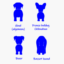 Afbeelding in Gallery-weergave laden, Kapstok voor hondenriem met naam
