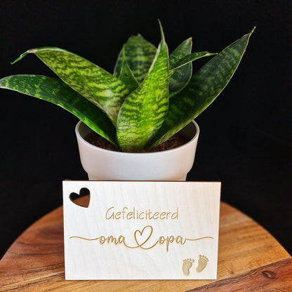 Houten wenskaart "Gefeliciteerd oma en opa"
