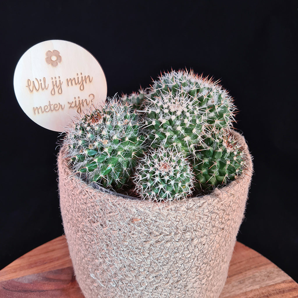 Plantenprikker 