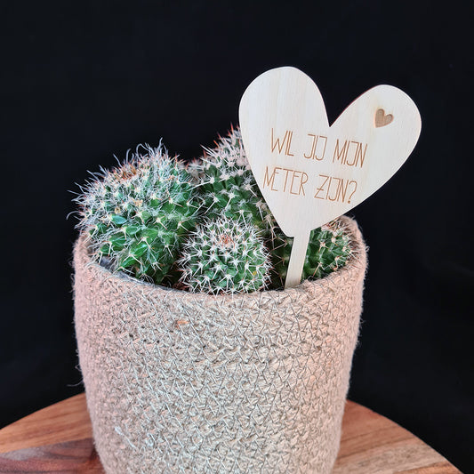 Plantenprikker "Meter of peter" - hart