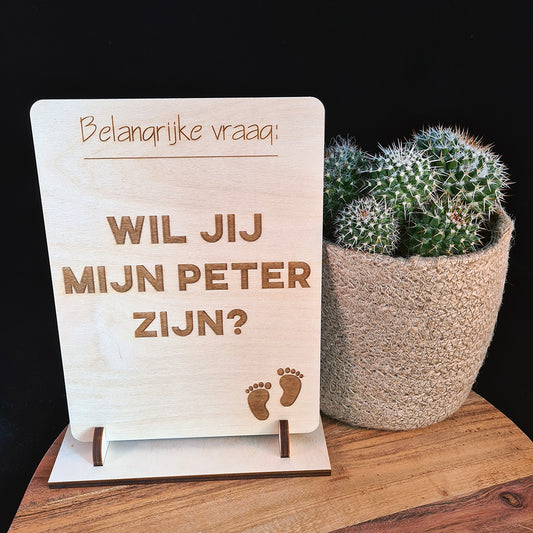 Houten bord "Belangrijke vraag"