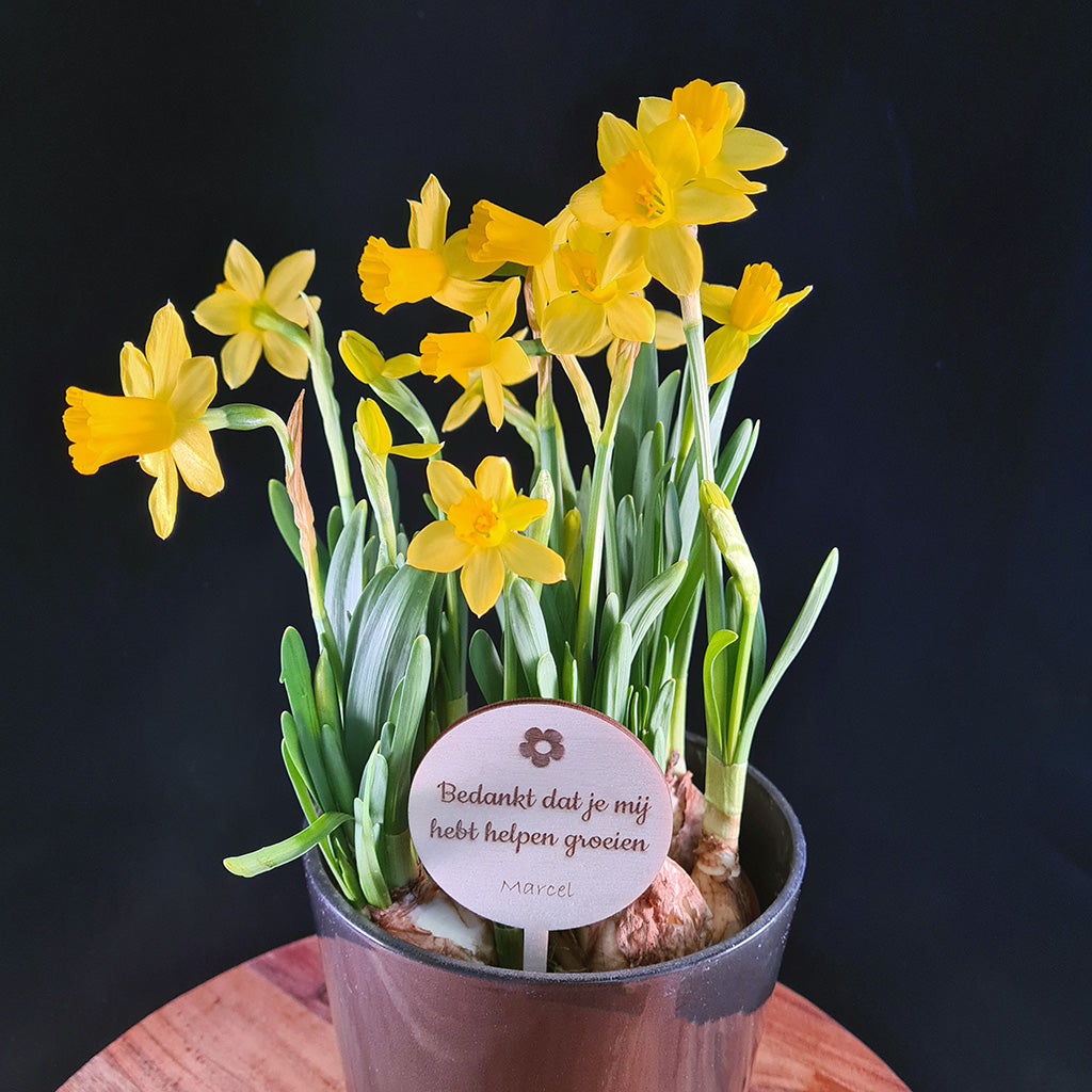 Plantenprikker met naam