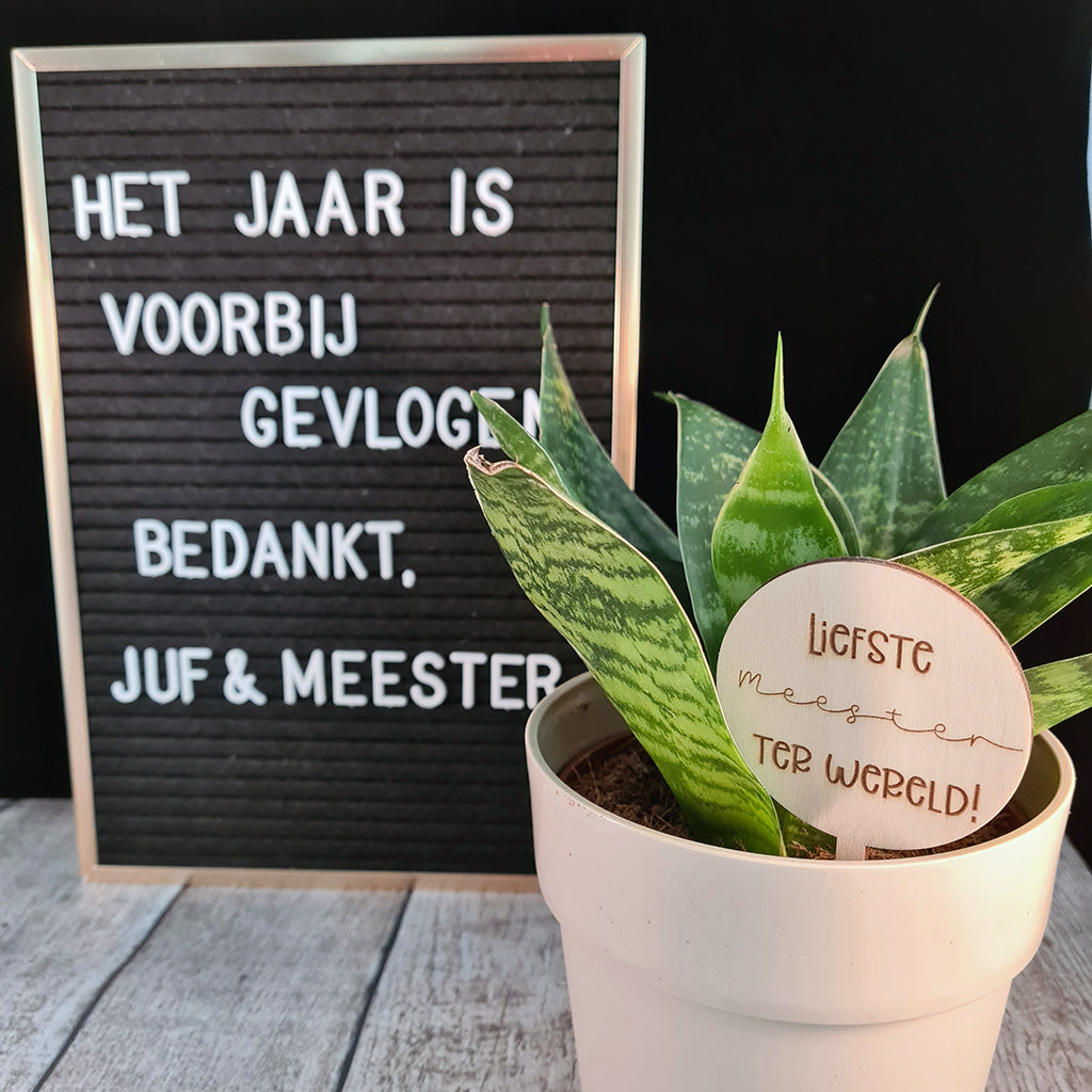 Plantenprikker "Meester of juf"