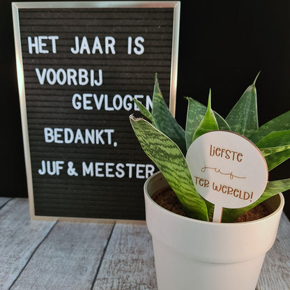 Plantenprikker "Meester of juf"